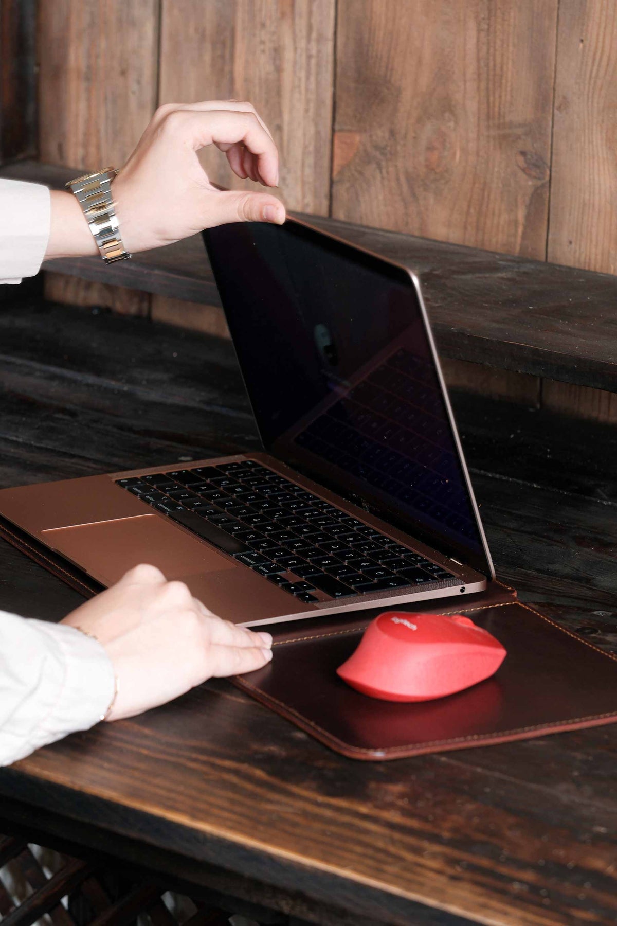GECKO I Mouse Padli Laptop Çantası