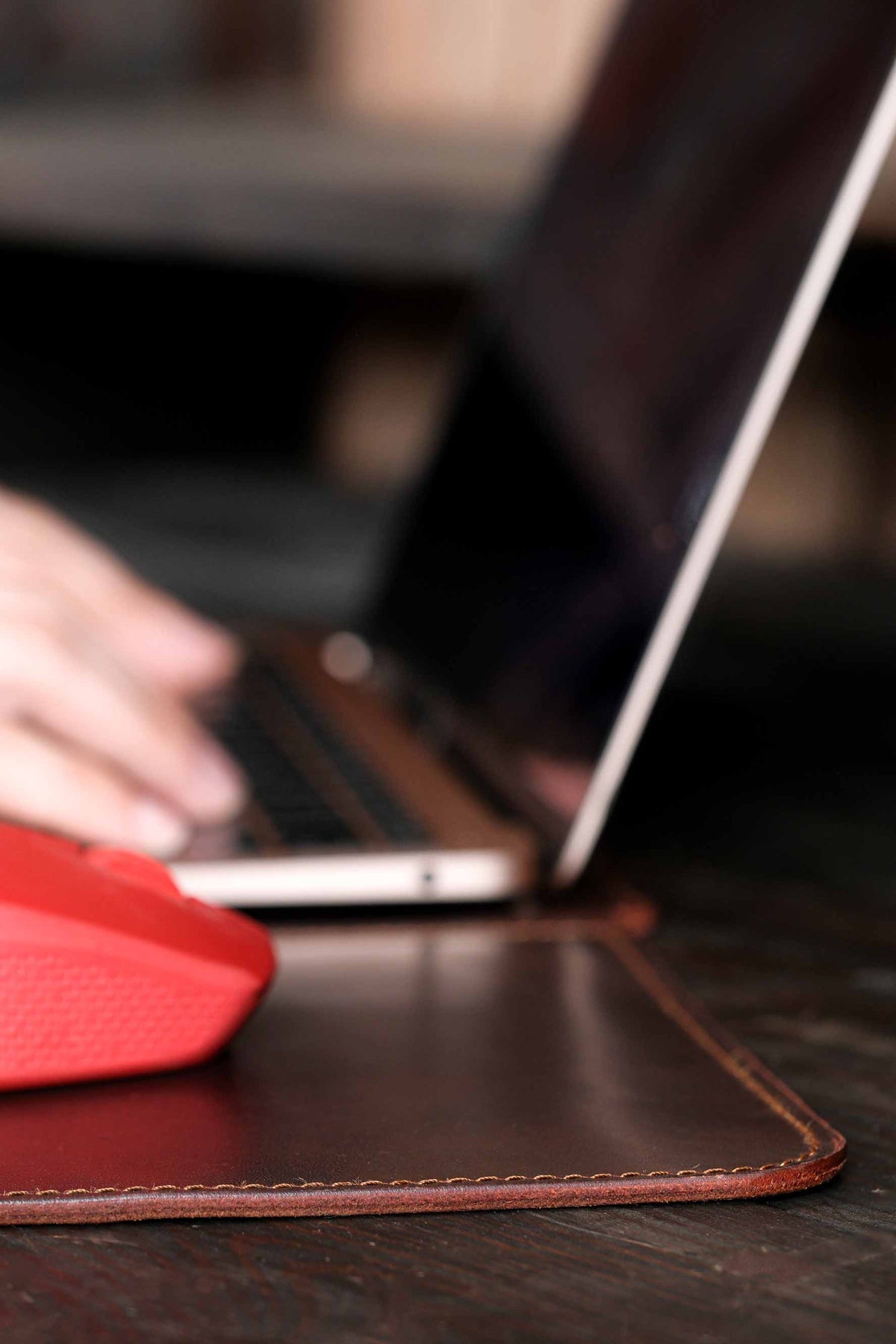 GECKO I Mouse Padli Laptop Çantası